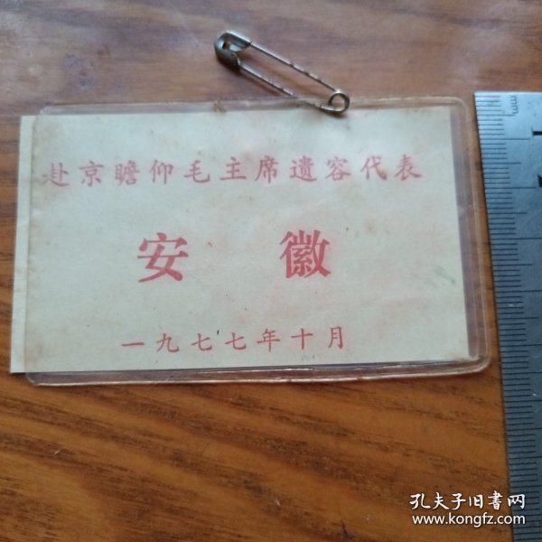 《赴京瞻仰毛主席遗容代表 安徽》1977年10月