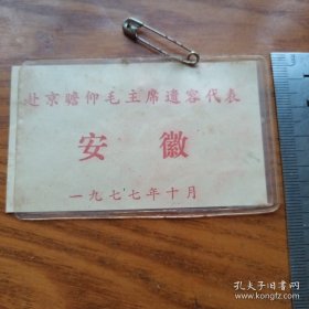 《赴京瞻仰毛主席遗容代表 安徽》1977年10月