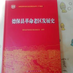 德保县革命老区发展史