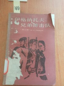 伊格纳托夫兄弟游击队