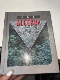 pre algebra（水印有点严重 不影响阅读）