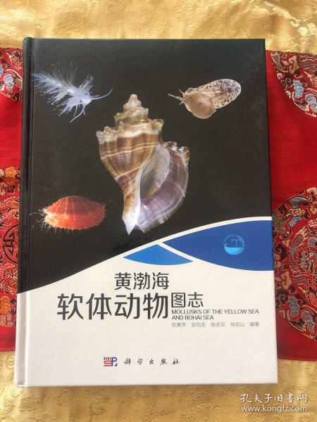 现代海洋科学 从近海到深海：黄渤海软体动物图志