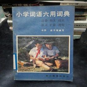 小学词语六用词典