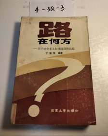 路在何方—关于社会主义初级阶段的沉思