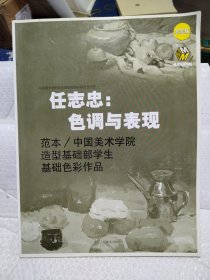 任志忠：色调与表现（浙美版）