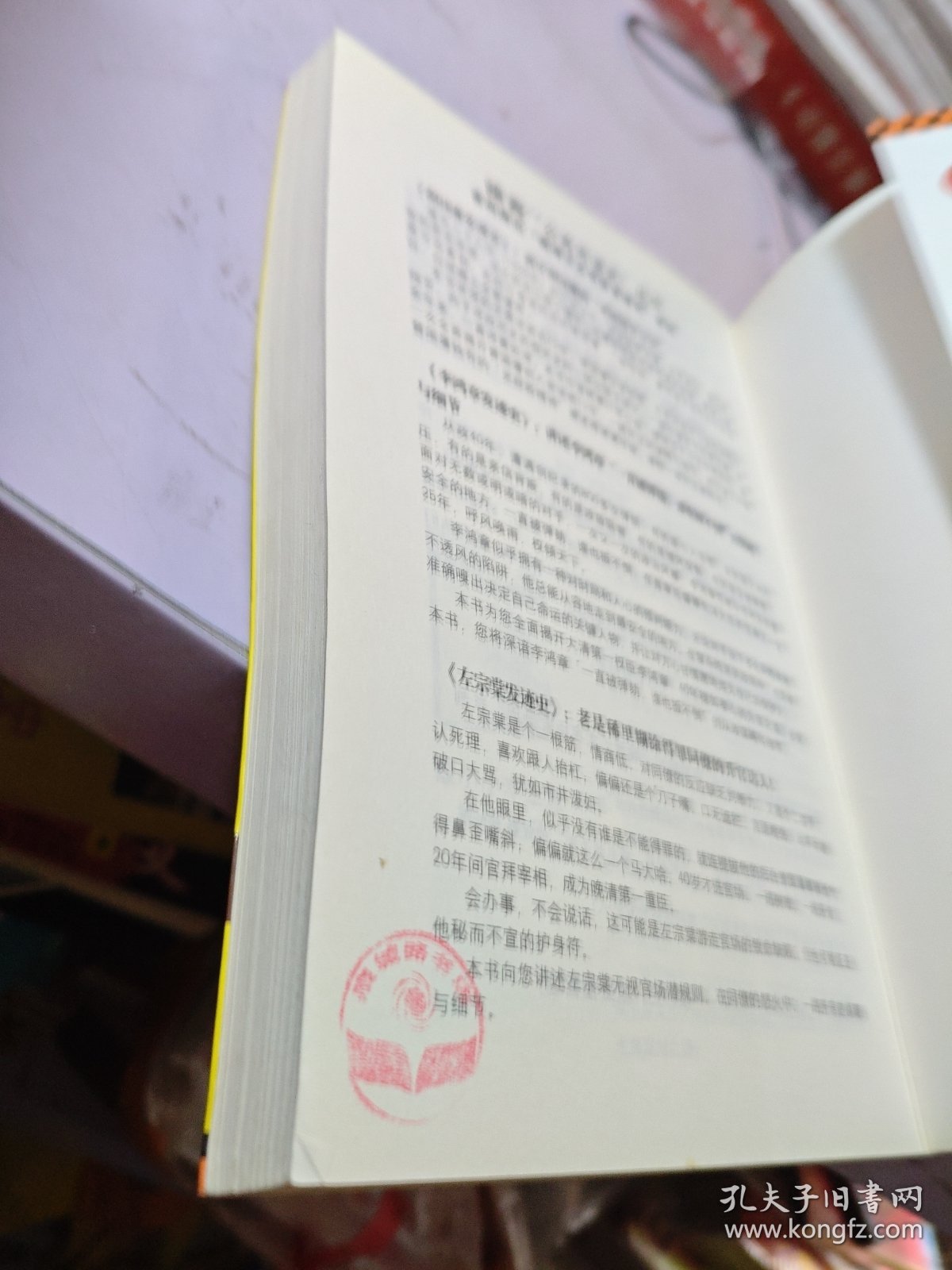 侯卫东官场笔记5：逐层讲透村、镇、县、市、省官场现状的自传体小说