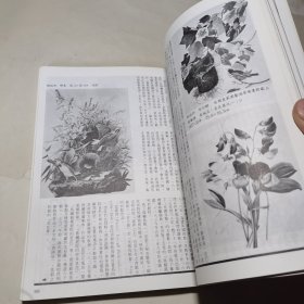 艺术家1985年12月总第127号写实主义绘画专辑