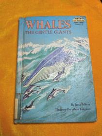 WHALES