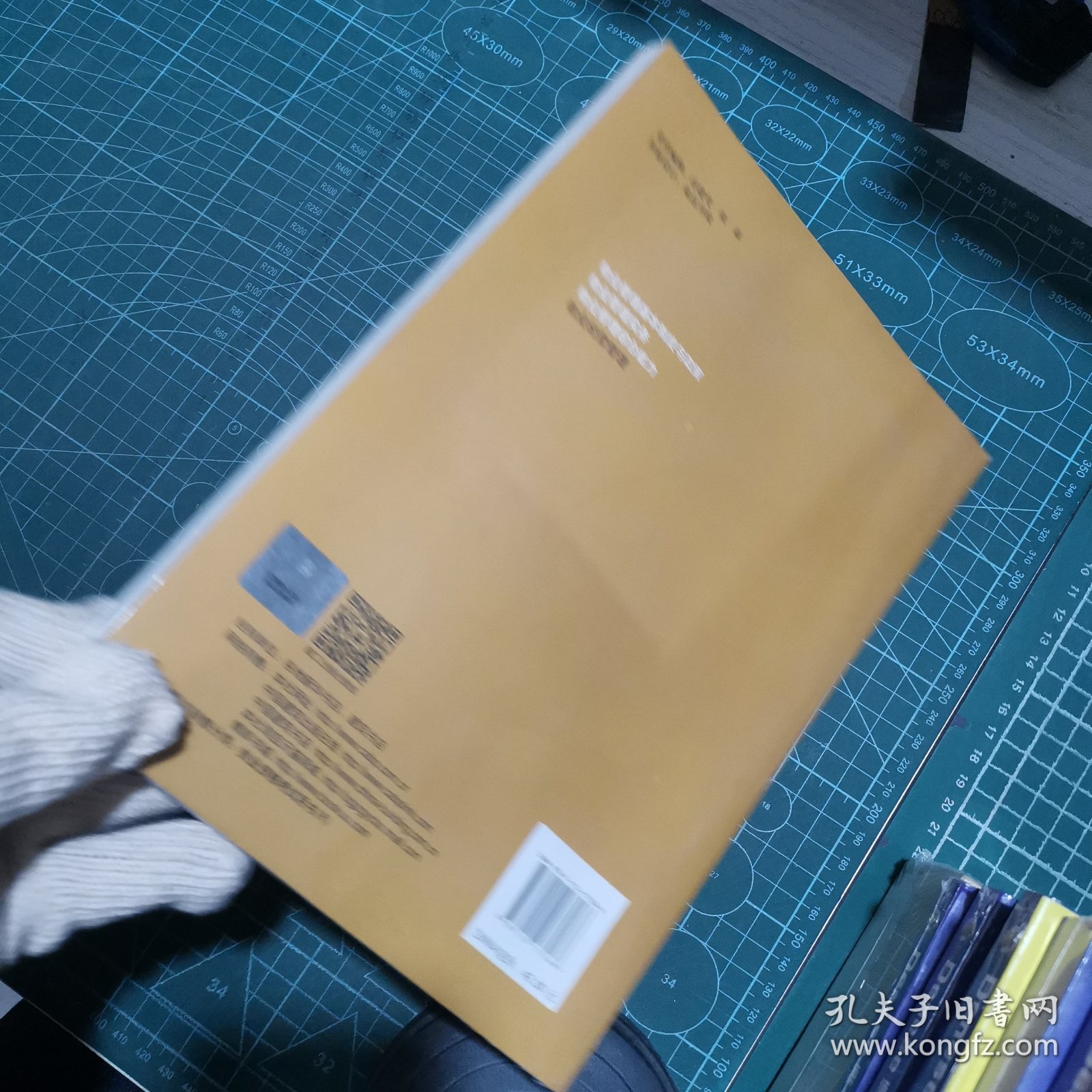 物业管理师执业资格考试复习教材与强化训练：物业经营管理