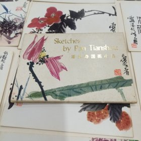 潘天寿国画小品明信片（12张）