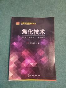 中国洁净煤技术丛书：焦化技术