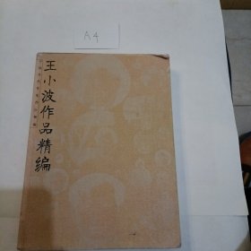 王小波作品精编