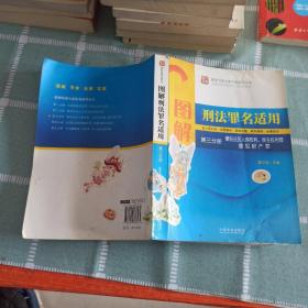 图解刑法罪名适用（第3分册）侵犯公民人身权利、民主权利罪、侵犯财产罪