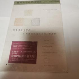重来也不会好过现在：成年人的哲学指南
