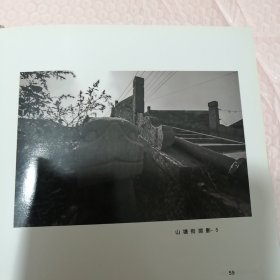王岩摄影作品集（精装）