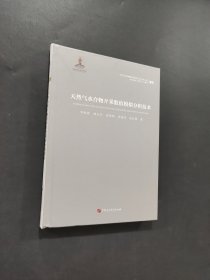 天然气水合物开采数值模拟分析技术