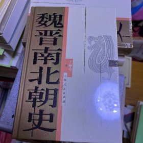 魏晋南北朝史