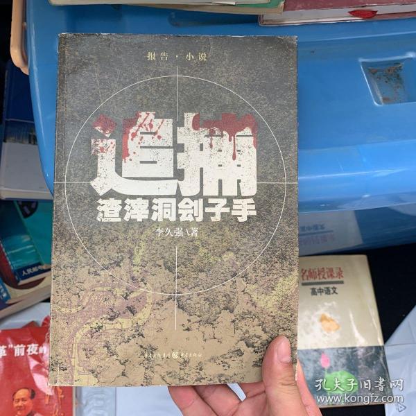 追捕渣滓洞刽子手（《红岩》小说的B面：公安战士和潜伏的刽子手之间追捕与反追捕的曲折故事）