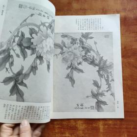 怎样画没骨法牡丹（杜炳申  著）16开