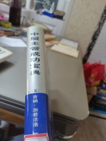 中层主管成功宝典