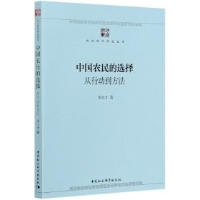 中国农民的选择：从行动到方法