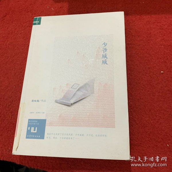 身份共同体70后作家大系：少爷威威