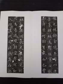 【唐代】褚遂良书风，倪素墓志铭拓片册页 君讳素字贞 河南洛阳人也，显庆三年十月制，该志书法字体和冯承素墓志中的字体如出一辙 极其相似。 唐楷法度浓重。也体现了初唐以后书法的法度和风格变化。该志书法精美，笔势精妙，备尽楷则，从书丹到刻工均属上乘，具有较高的书法艺术价值。从特点上看，该志谨严有法、瘦劲整饬、结体宽博、典雅精工，符合初唐书法风格，是初唐楷书精品。书法精美，保真包原拓。