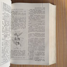 现代中药学大辞典（下册）