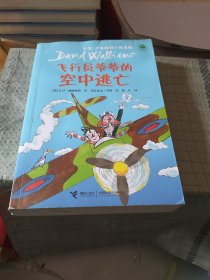 飞行员爷爷的空中逃亡/大卫·少年幽默小说系列