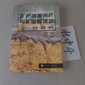 矿产资源资产与矿业权评估:原理·规划·案例