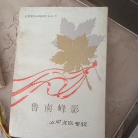 鲁南峰影（运河支队专辑）