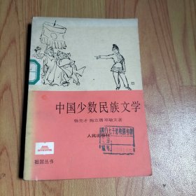 中国少数民族文学