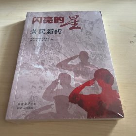闪亮的星:老兵新传