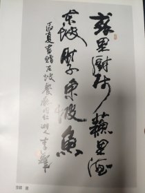 散页美术资料（印刷品）———书法——-行书条幅【李铎】，草书条幅【李力生】2032