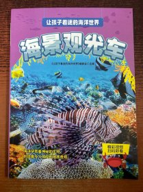 让孩子着迷的海洋世界：海景观光车