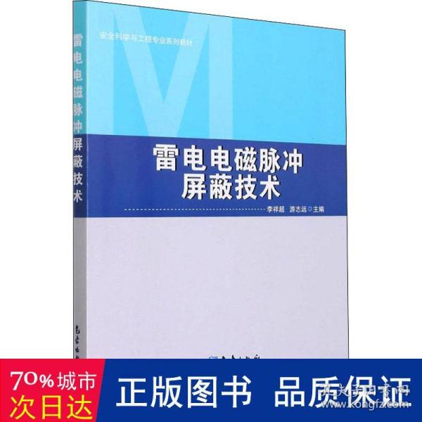 雷电电磁脉冲屏蔽技术