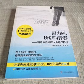 因为痛，所以叫青春：写给独自站在人生路口的你