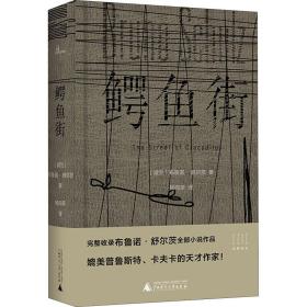 街 外国现当代文学 (波)布鲁诺·舒尔茨