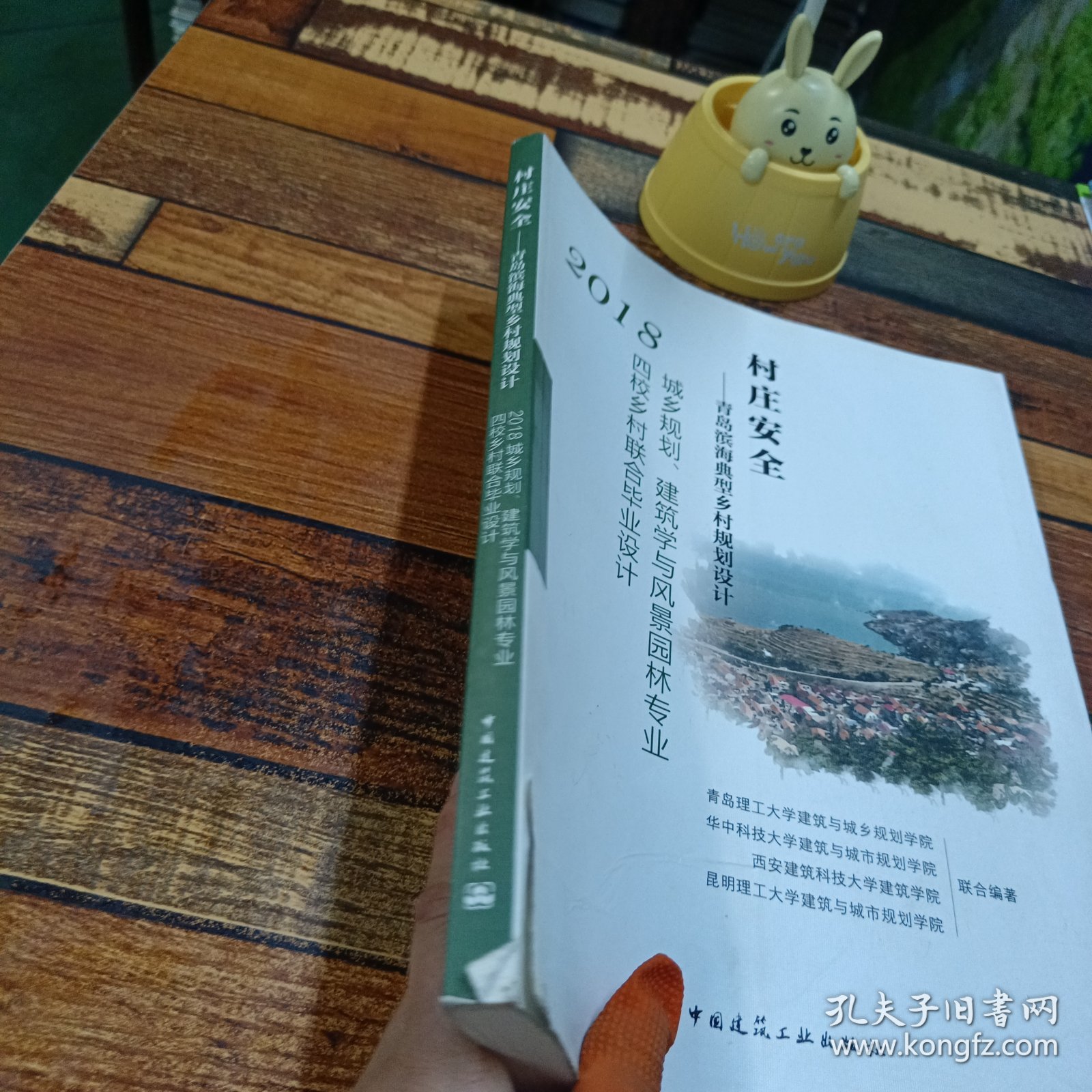 村庄安全：青岛滨海典型乡村规划设计