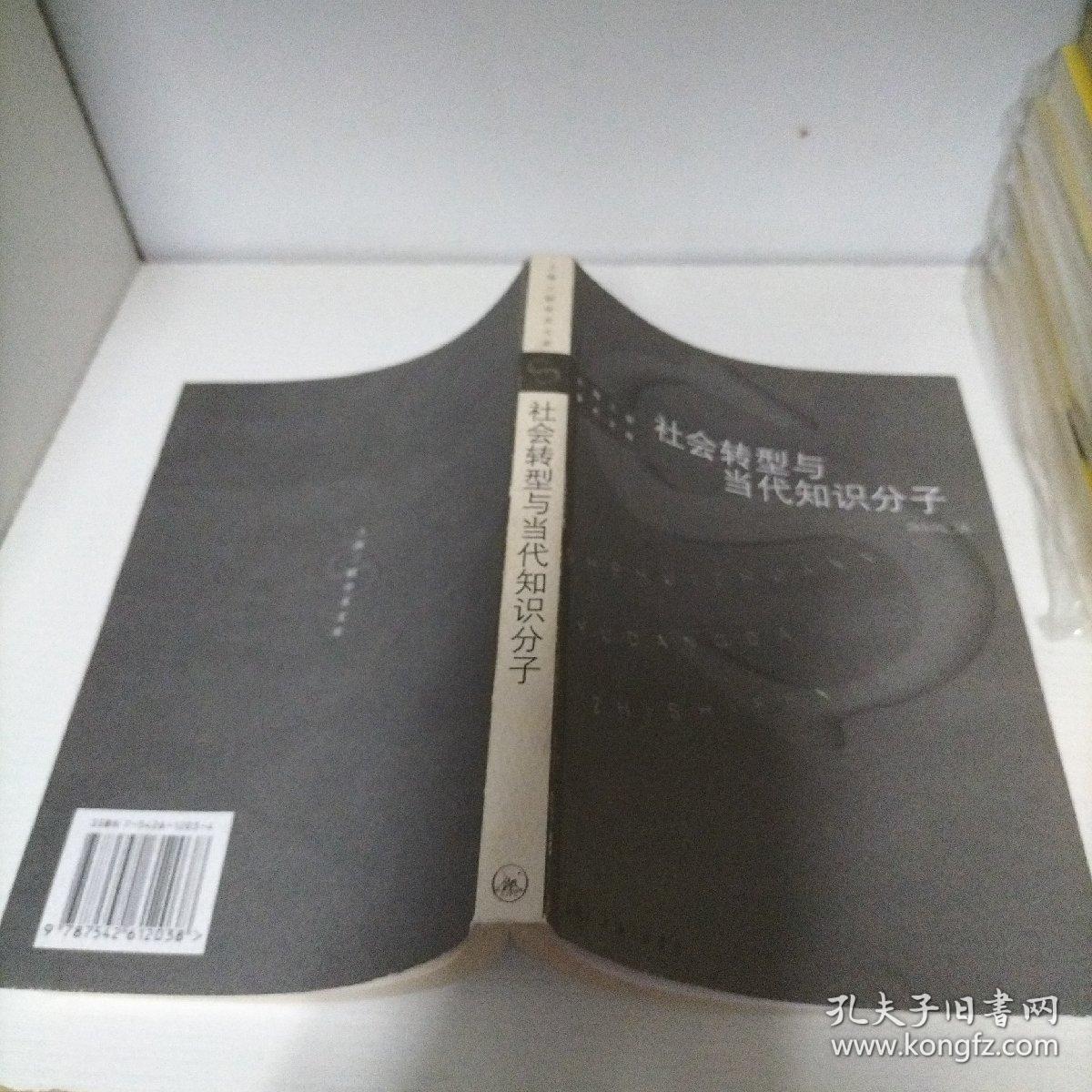 社会转型与当代知识分子