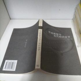 社会转型与当代知识分子