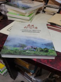 起进我们的小康，江西省脱贫攻坚主题美术书法摄影农民画创作展作品集