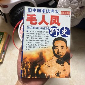 毛人凤野史