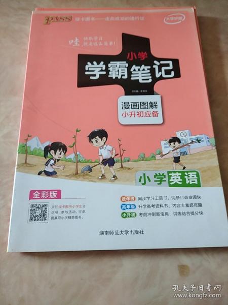 2018版 绿卡图书 学霸笔记漫画图解：小学英语（小升初必备 通用版 大字版 全彩版）