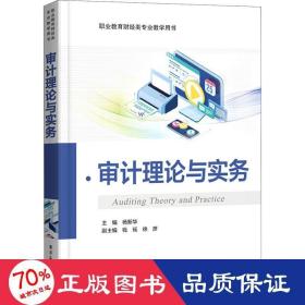 审计理论与实务 大中专理科电工电子 作者