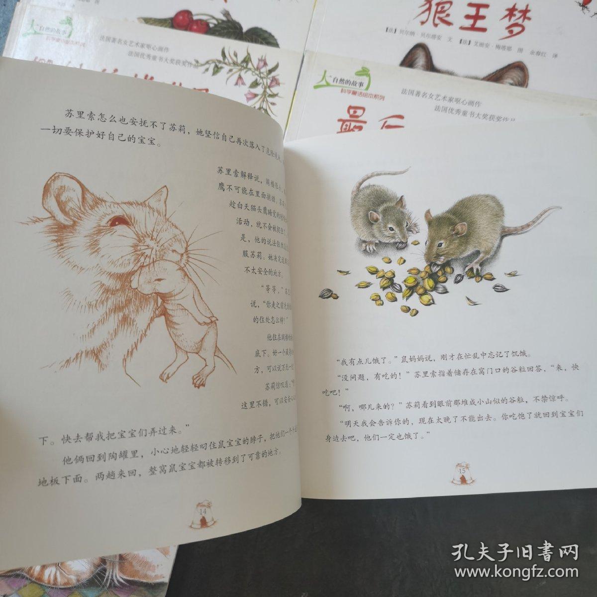 大自然的故事 科学童话绘本系列  喜鹊的百宝箱  第一次冒险  最后一个蜂群 大熊归来  樱桃核掉进了耳朵里  森林园丁之王  金眼睛猫头鹰  胜利大逃亡  小睡鼠要冬眠   狼王梦  小熊的月夜奇遇  11册合售