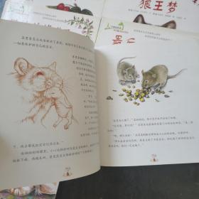 大自然的故事 科学童话绘本系列  喜鹊的百宝箱  第一次冒险  最后一个蜂群 大熊归来  樱桃核掉进了耳朵里  森林园丁之王  金眼睛猫头鹰  胜利大逃亡  小睡鼠要冬眠   狼王梦  小熊的月夜奇遇  11册合售