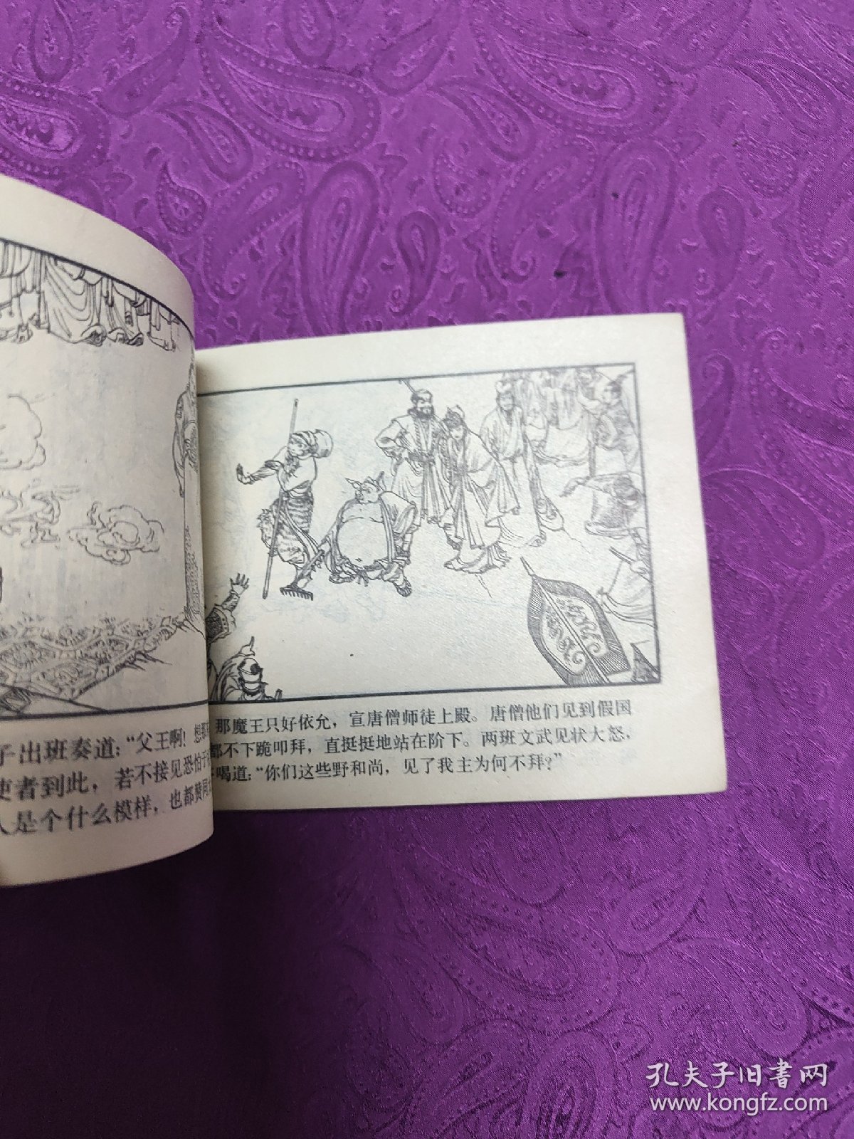 智降狮猁王 (连环画)