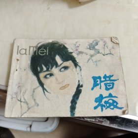 连环画，腊梅