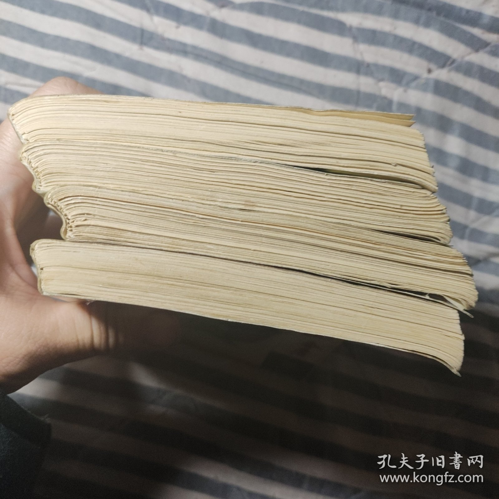 倚天屠龙记